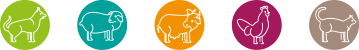 Icone animaux Aminature