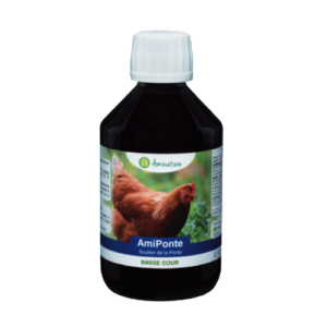 Photo du produit "AmiPonte", aliment complémentaire agissant sur la qualité et la quantité d'oeufs des poules